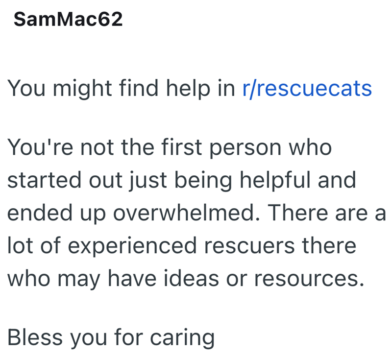 SamMac62 You might find help in r/rescuecats You're not the first person who started out just being helpful and ended up overwhelmed. There are a lot of experienced rescuers there who may have ideas or resources. Bless you for caring