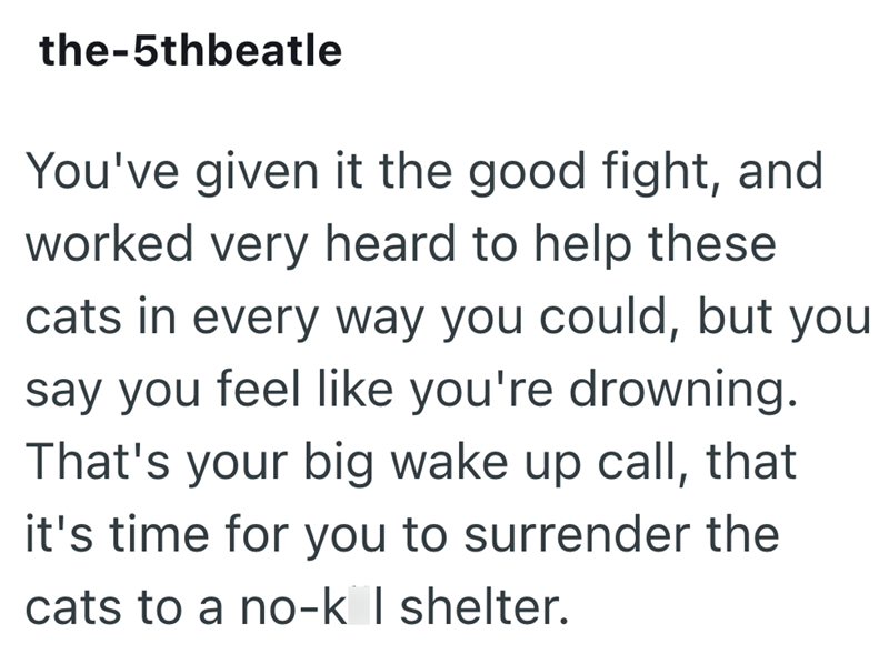 the-5thbeatle You've given it the good fight, and worked very heard to help these cats in every way you could, but you say you feel like you're drowning. That's your big wake up call, that it's time for you to surrender the cats to a no-k I shelter.