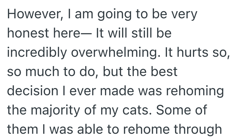 However, I am going to be very honest here- It will still be incredibly overwhelming. It hurts so, so much to do, but the best decision I ever made was rehoming the majority of my cats. Some of them I was able to rehome through