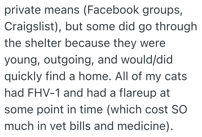 private means (Facebook groups, Craigslist), but some did go through the shelter because they were young, outgoing, and would/did quickly find a home. All of my cats had FHV-1 and had a flareup at some point in time (which cost SO much in vet bills and medicine).
