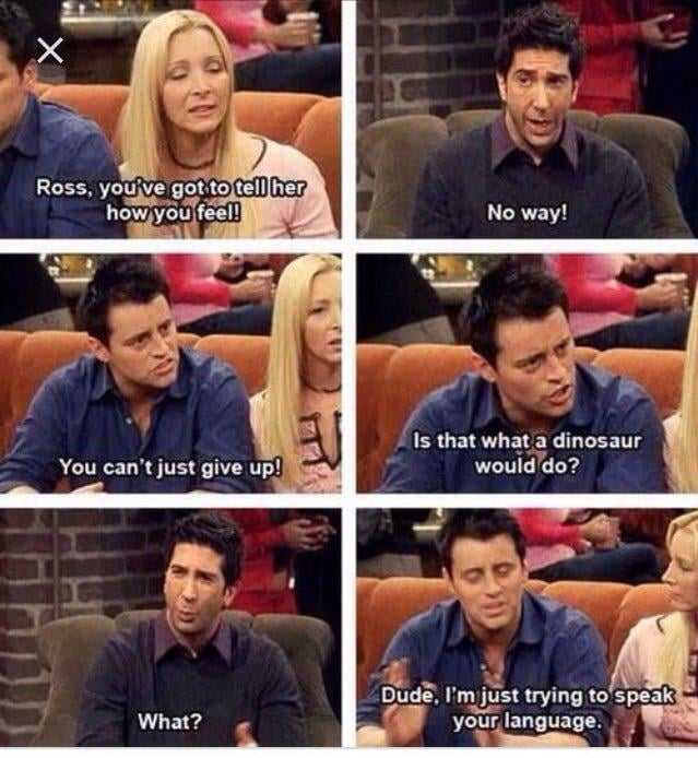 Ross, you've got to tell her how you feel! You can't just give up! No way! Is that what a dinosaur would do? What? Dude, I'm just trying to speak your language.