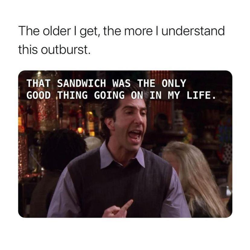 The older I get, the more I understand this outburst. THAT SANDWICH WAS THE ONLY GOOD THING GOING ON IN MY LIFE.