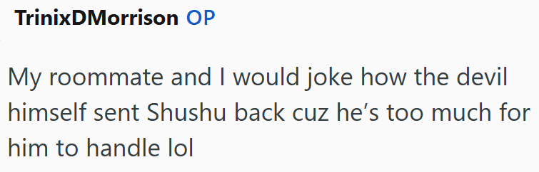TrinixDMorrison OP My roommate and I would joke how the devil himself sent Shushu back cuz he's too much for him to handle lol
