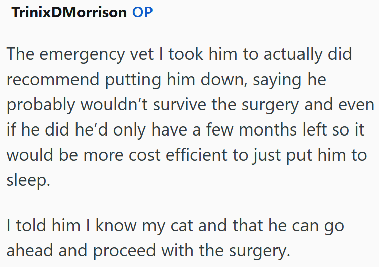 TrinixDMorrison OP The emergency vet I took him to actually did recommend putting him down, saying he probably wouldn't survive the surgery and even if he did he'd only have a few months left so it would be more cost efficient to just put him to sleep. I told him I know my cat and that he can go ahead and proceed with the surgery.