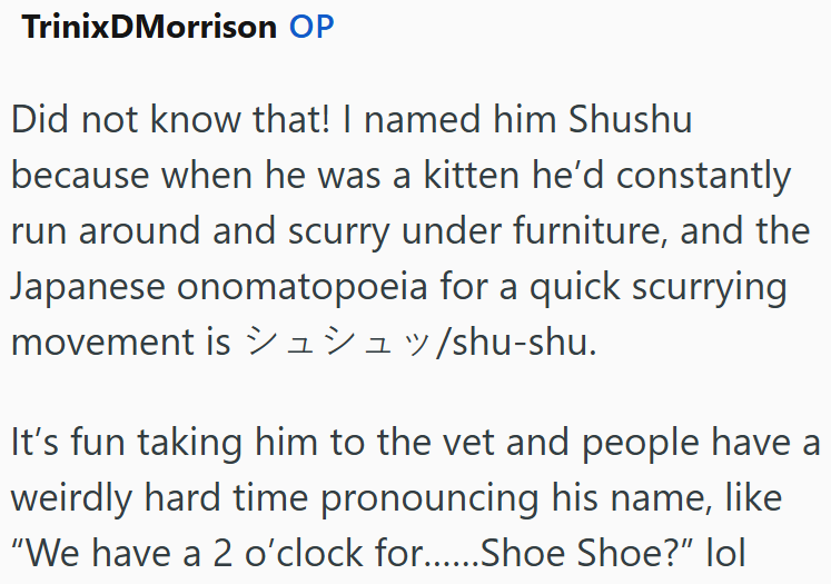 TrinixDMorrison OP Did not know that! I named him Shushu because when he was a kitten he'd constantly run around and scurry under furniture, and the Japanese onomatopoeia for a quick scurrying movement is ±± /shu-shu. It's fun taking him to the vet and people have a weirdly hard time pronouncing his name, like "We have a 2 o'clock for......Shoe Shoe?" lol