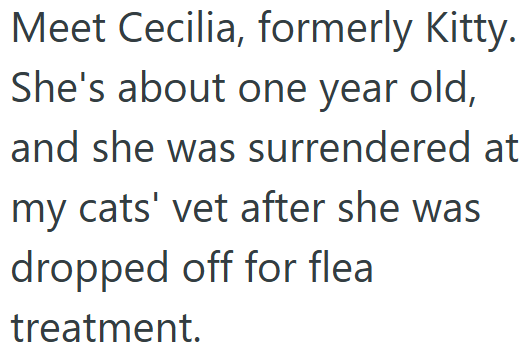 Meet Cecilia, formerly Kitty. She's about one year old, and she was surrendered at my cats' vet after she was dropped off for flea treatment.