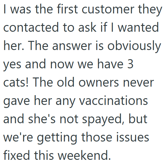 I was the first customer they contacted to ask if I wanted her. The answer is obviously yes and now we have 3 cats! The old owners never gave her any vaccinations and she's not spayed, but we're getting those issues fixed this weekend.