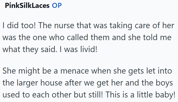 PinkSilkLaces OP I did too! The nurse that was taking care of her was the one who called them and she told me what they said. I was livid! She might be a menace when she gets let into the larger house after we get her and the boys used to each other but still! This is a little baby!