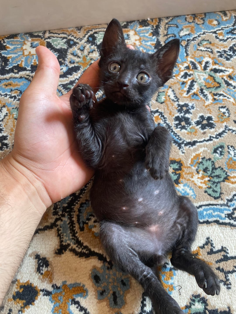 ?