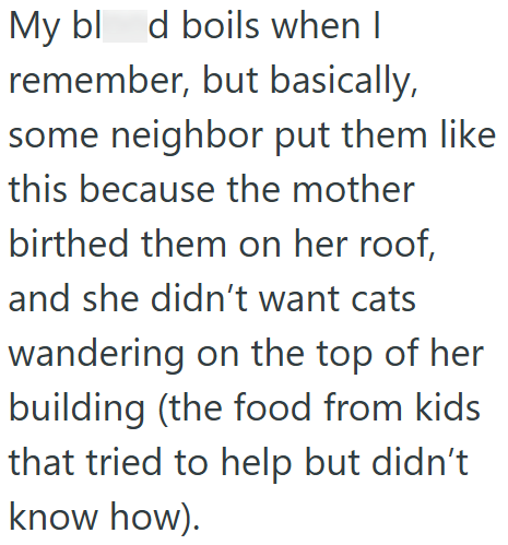 My blod boils when I remember, but basically, some neighbor put them like this because the mother birthed them on her roof, and she didn't want cats wandering on the top of her building (the food from kids that tried to help but didn't know how).