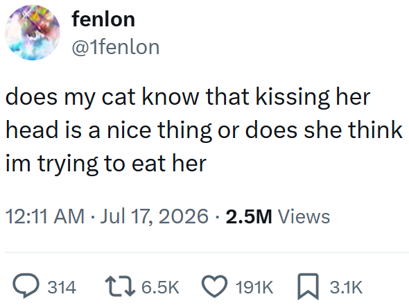 fenlon @1fenlon does my cat know that kissing her head is a nice thing or does she think im trying to eat her 12:11 AM ⚫ Jul 17, 2026 - 2.5M Views ◇ 314 1 6.5K 191K 3.1K