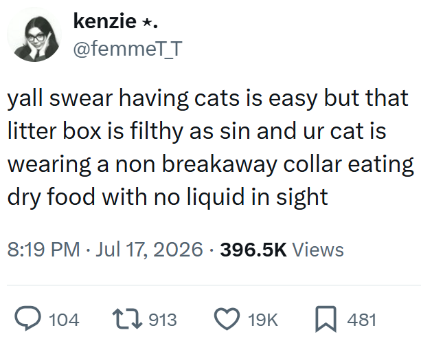 kenzie *. @femmeT_T yall swear having cats is easy but that litter box is filthy as sin and ur cat is wearing a non breakaway collar eating dry food with no liquid in sight 8:19 PM Jul 17, 2026 396.5K Views 104 1913 19K 481