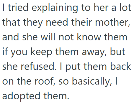 I tried explaining to her a lot that they need their mother, and she will not know them if you keep them away, but she refused. I put them back on the roof, so basically, I adopted them.
