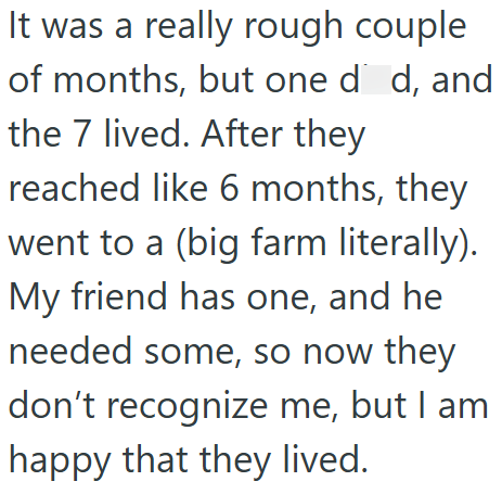 It was a really rough couple of months, but one dd, and the 7 lived. After they reached like 6 months, they went to a (big farm literally). My friend has one, and he needed some, so now they don't recognize me, but I am happy that they lived.