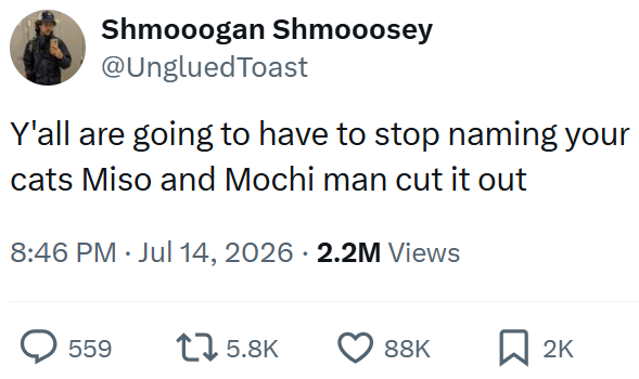 Shmooogan Shmooosey @Unglued Toast Y'all are going to have to stop naming your cats Miso and Mochi man cut it out 8:46 PM ⚫ Jul 14, 2026 - 2.2M Views 559 175.8K 88K ☐ 2K