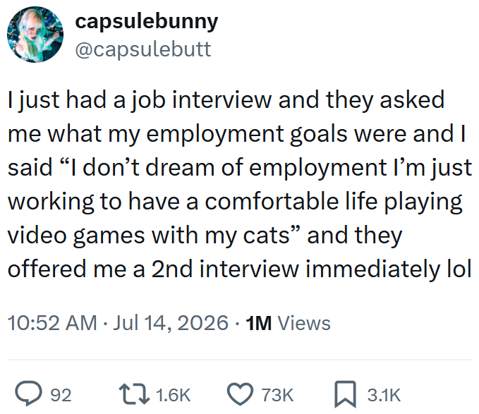 capsulebunny @capsulebutt I just had a job interview and they asked me what my employment goals were and I said "I don't dream of employment I'm just working to have a comfortable life playing video games with my cats" and they offered me a 2nd interview immediately lol 10:52 AM Jul 14, 2026 1M Views • 92 11.6K 73K ☐ 3.1K
