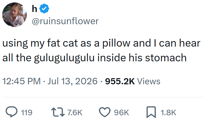 h @ruinsunflower using my fat cat as a pillow and I can hear all the gulugulugulu inside his stomach 12:45 PM ⚫ Jul 13, 2026 955.2K Views 119 17 7.6K 96K ☐ 1.8K
