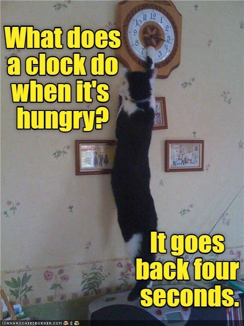 Cheezburger Image 10648971520