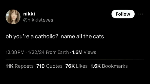 nikki @nikkisteves oh you're a catholic? name all the cats 12:38 PM - 1/22/24 From Earth 1.6M Views Follow 11K Reposts 719 Quotes 76K Likes 1.6K Bookmarks