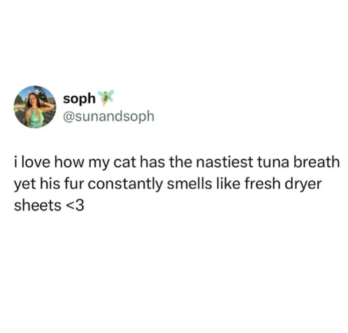 soph @sunandsoph i love how my cat has the nastiest tuna breath yet his fur constantly smells like fresh dryer sheets <3