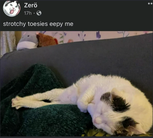 Zerö 17h strotchy toesies eepy me