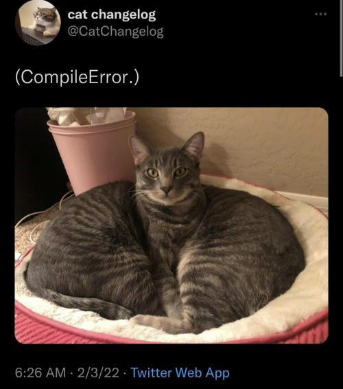 cat changelog @CatChangelog (CompileError.) 6:26 AM 2/3/22 Twitter Web App •