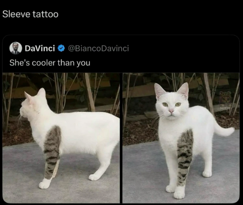 Sleeve tattoo DaVinci @Bianco Davinci She's cooler than you MICH