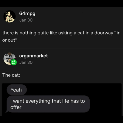 64mpg Jan 30 there is nothing quite like asking a cat in a doorway "in or out" The cat: organmarket Jan 30 Yeah I want everything that life has to offer