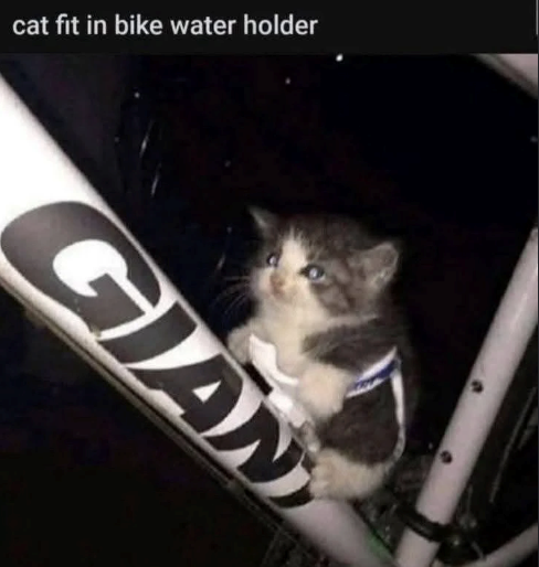 cat fit in bike water holder GIAN