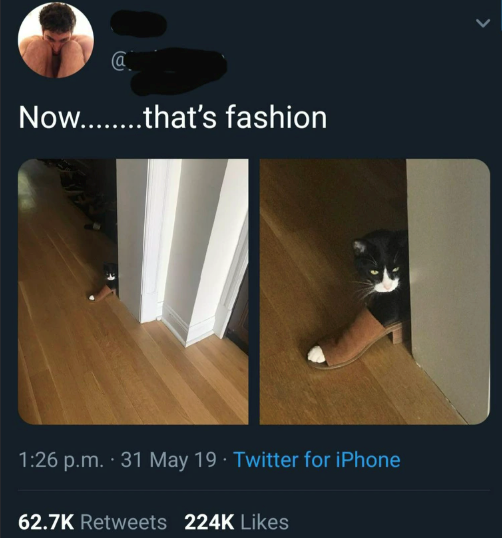 @ Now........that's fashion > 1:26 p.m. 31 May 19 Twitter for iPhone 62.7K Retweets 224K Likes