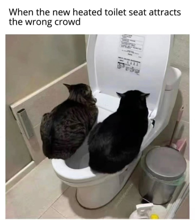 When the new heated toilet seat attracts the wrong crowd playmode