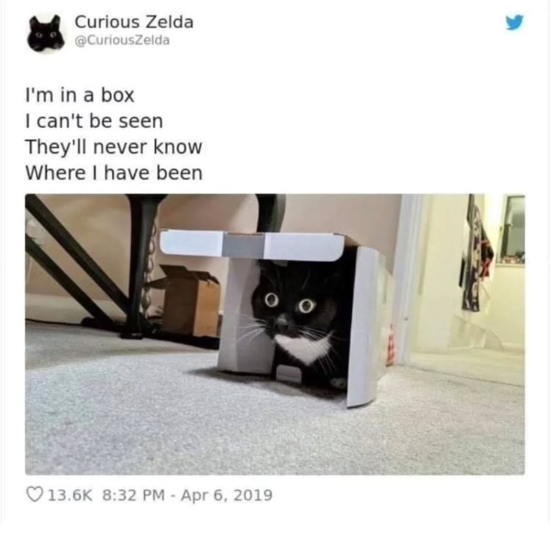 Curious Zelda @CuriousZelda I'm in a box I can't be seen They'll never know Where I have been 00 13.6K 8:32 PM - Apr 6, 2019