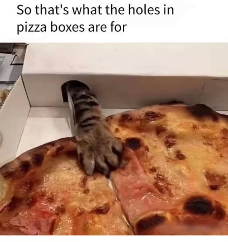 So that's what the holes in pizza boxes are for