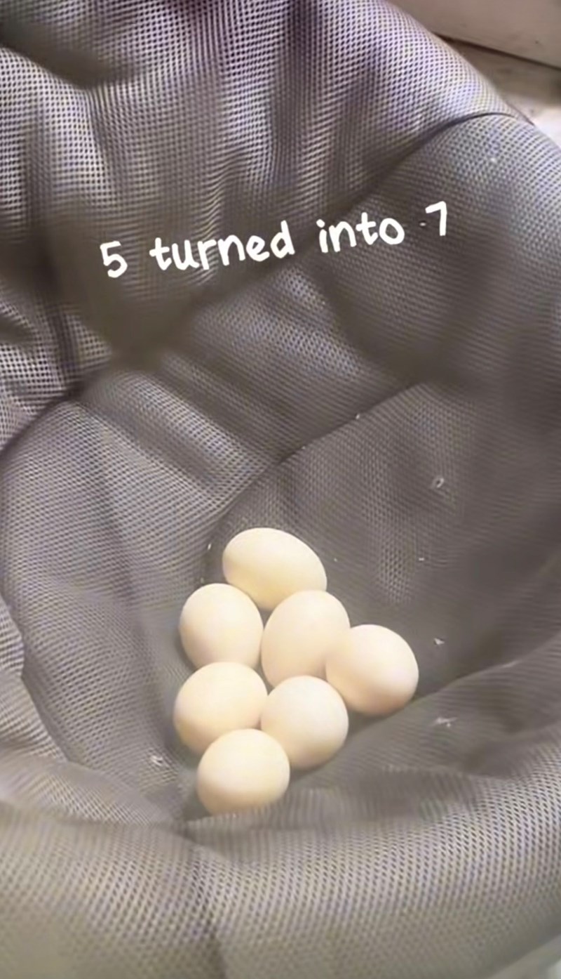 5 turned into 7