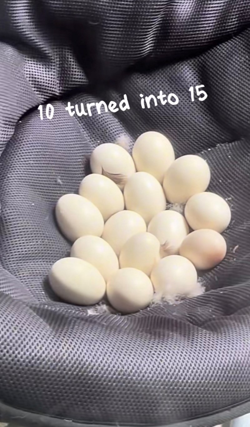 10 turned into 15
