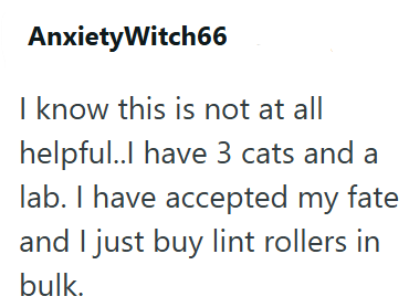 AnxietyWitch66 I know this is not at all helpful..I have 3 cats and a lab. I have accepted my fate and I just buy lint rollers in bulk.