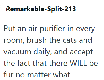 Remarkable-Split-213 Put an air purifier in every room, brush the cats and vacuum daily, and accept the fact that there WILL be fur no matter what.
