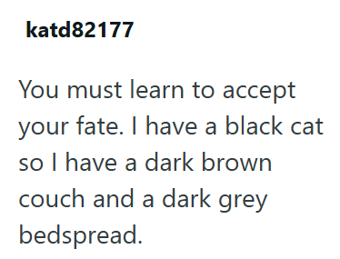 katd82177 You must learn to accept your fate. I have a black cat so I have a dark brown couch and a dark grey bedspread.