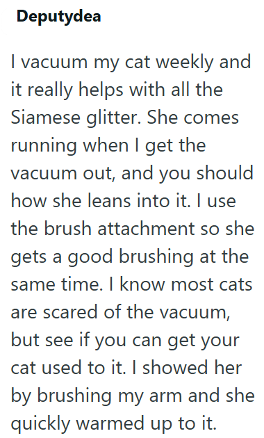 Deputydea I vacuum my cat weekly and it really helps with all the Siamese glitter. She comes running when I get the vacuum out, and you should how she leans into it. I use the brush attachment so she gets a good brushing at the same time. I know most cats are scared of the vacuum, but see if you can get your cat used to it. I showed her by brushing my arm and she quickly warmed up to it.