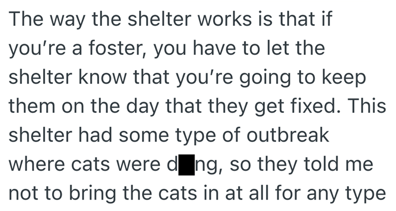 The way the shelter works is that if you're a foster, you have to let the shelter know that you're going to keep them on the day that they get fixed. This shelter had some type of outbreak where cats were ding, so they told me not to bring the cats in at all for any type