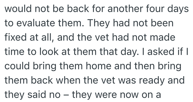 would not be back for another four days to evaluate them. They had not been fixed at all, and the vet had not made time to look at them that day. I asked if I could bring them home and then bring them back when the vet was ready and they said no they were now on a -