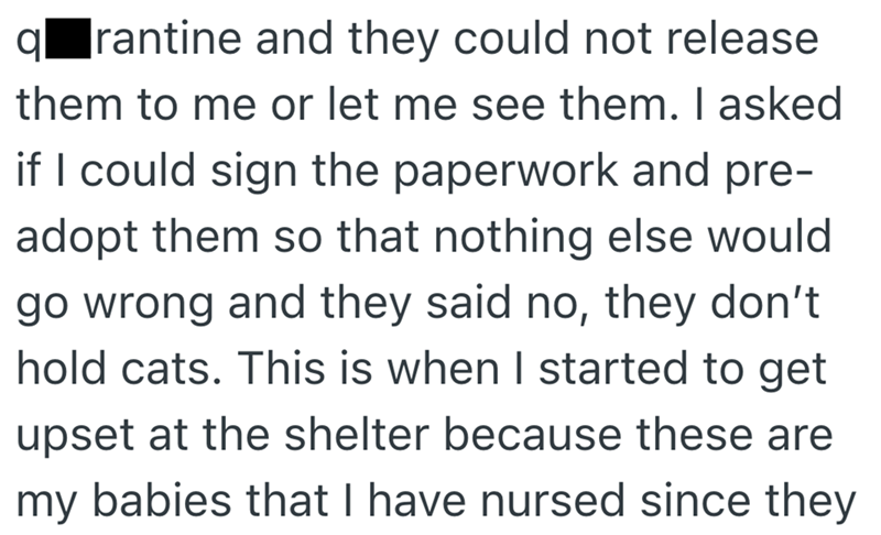 q rantine and they could not release them to me or let me see them. I asked if I could sign the paperwork and pre- adopt them so that nothing else would go wrong and they said no, they don't hold cats. This is when I started to get upset at the shelter because these are my babies that I have nursed since they