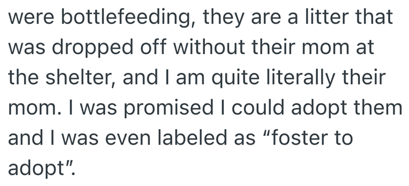 were bottlefeeding, they are a litter that was dropped off without their mom at the shelter, and I am quite literally their mom. I was promised I could adopt them and I was even labeled as "foster to adopt".