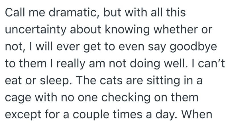 Call me dramatic, but with all this uncertainty about knowing whether or not, I will ever get to even say goodbye to them I really am not doing well. I can't eat or sleep. The cats are sitting in a cage with no one checking on them except for a couple times a day. When