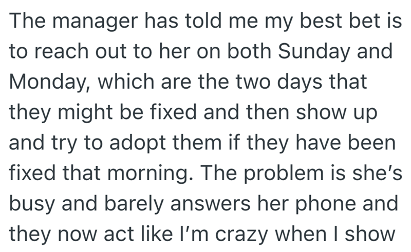 The manager has told me my best bet is to reach out to her on both Sunday and Monday, which are the two days that they might be fixed and then show up and try to adopt them if they have been fixed that morning. The problem is she's busy and barely answers her phone and they now act like I'm crazy when I show