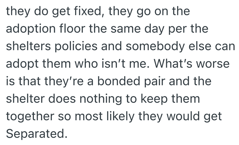 they do get fixed, they go on the adoption floor the same day per the shelters policies and somebody else can adopt them who isn't me. What's worse is that they're a bonded pair and the shelter does nothing to keep them together so most likely they would get Separated.