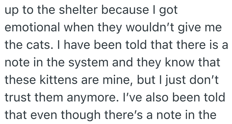 up to the shelter because I got emotional when they wouldn't give me the cats. I have been told that there is a note in the system and they know that these kittens are mine, but I just don't trust them anymore. I've also been told that even though there's a note in the