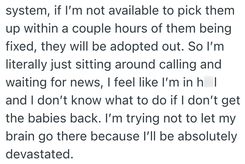 system, if I'm not available to pick them up within a couple hours of them being fixed, they will be adopted out. So I'm literally just sitting around calling and waiting for news, I feel like I'm in h | and I don't know what to do if I don't get the babies back. I'm trying not to let my brain go there because I'll be absolutely devastated.