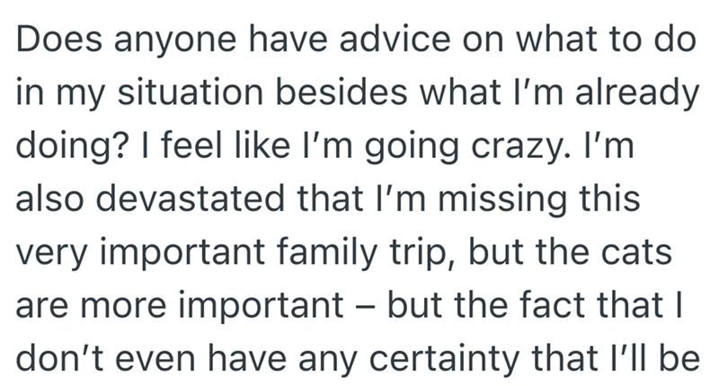 Does anyone have advice on what to do in my situation besides what I'm already doing? I feel like I'm going crazy. I'm also devastated that I'm missing this very important family trip, but the cats are more important - but the fact that I don't even have any certainty that I'll be
