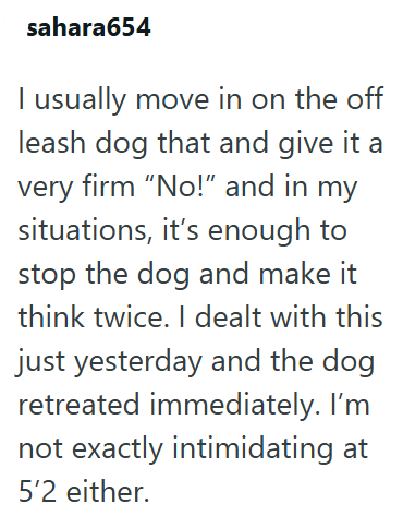 sahara654 I usually move in on the off leash dog that and give it a very firm "No!" and in my situations, it's enough to stop the dog and make it think twice. I dealt with this just yesterday and the dog retreated immediately. I'm not exactly intimidating at 5'2 either.
